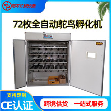 工厂定制72枚全自动鸵鸟蛋孵化器鸵鸟用智能型孵蛋机大型孵化机
