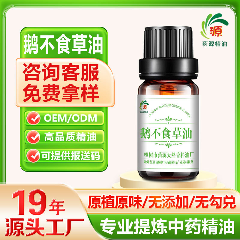 厂家批发  鹅不食草精油 按摩 植物精油 单方精油