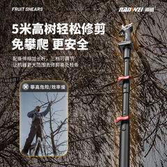 Wholesale brushless electric fruit branch saw charging high branch saw lithium battery pruning shear tree branch fruit tree saw garden thick branch saw