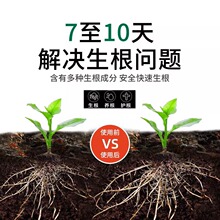 ?����Һͨ��Ǥ��I�BҺ����������ˮ�໨�ܾGֲ���������Lˮ