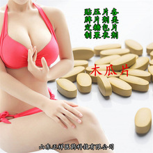 ľ�ϸ��Ƭ ���Ѽt��Ƭ �����Ƭ VCƬ ��Ƭ�ǹ� OEM �N�� ���ӹ�