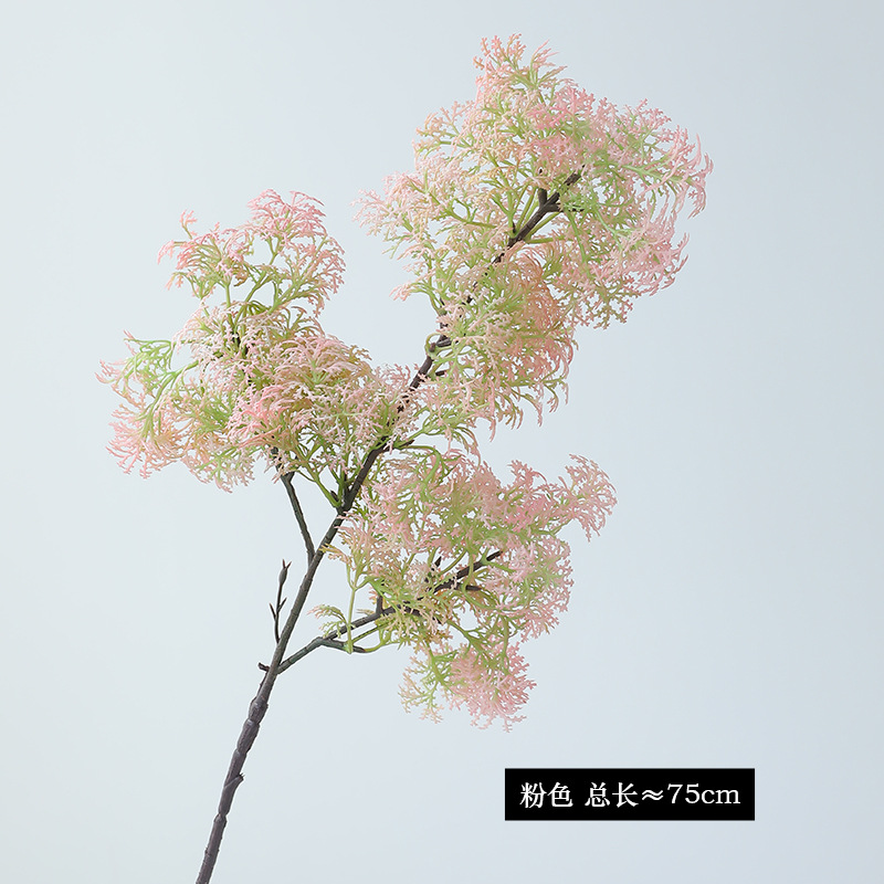 분홍색