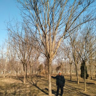 ��������  �S��ֱ�N ������ ��֦���~�� С���Ҏ�������ؗU��ñ