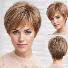 �W���r�����иߜؽz���w�ٰl�^�׿羳�¿�Ůʿ�ٰl�S�ҬF؛���l