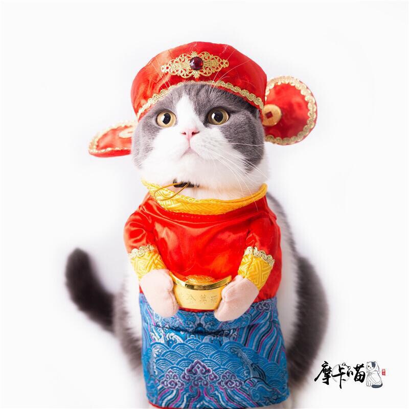 犬と猫の面白い服、面白いナイフを手にしたサモエド、かわいいビションフリーゼ、クリエイティブなペットのテディ、ファイティングドッグパロディー|undefined