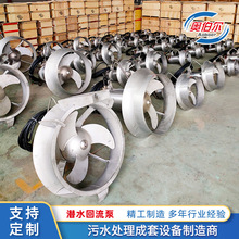 不锈钢污泥回流泵穿墙泵反硝化混合液回流大流量自耦合潜水回流泵