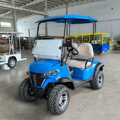 Foreign Trade 2 4 Golf Elektrikli qolf avtomobilləri