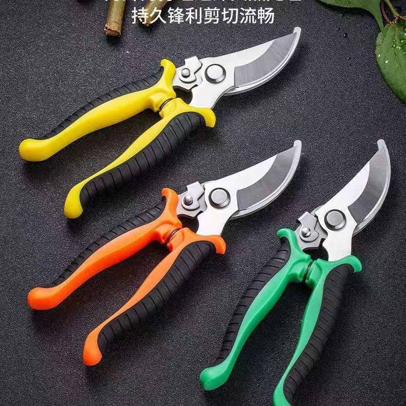 不锈钢树枝剪修枝剪园艺剪刀果园花艺摘果剪园林树枝工具剪花艺剪
