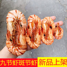 年货虾即食500g斑节虾对干虾烤虾海鲜竹节特大九节虾虾干大号干货