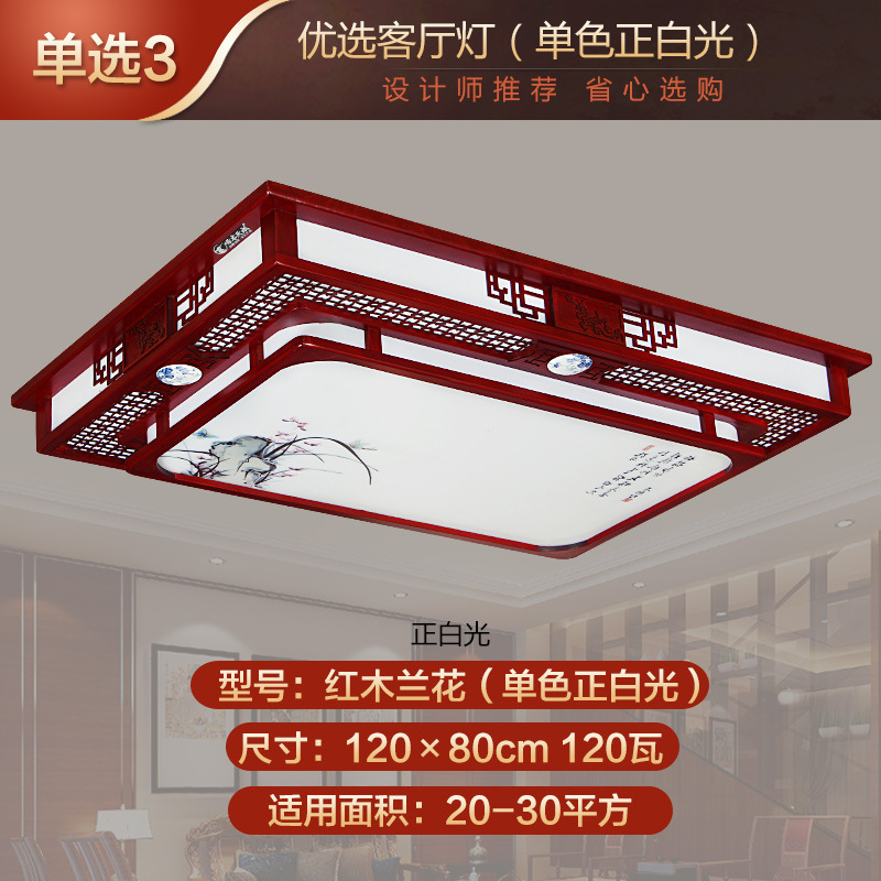 120×80cm 단색 백색광