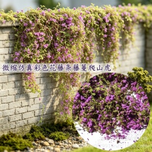 3G/6G�����ɫ������ɽ������֦�l�޾��Gɫ�z�d���l���b���l�F؛