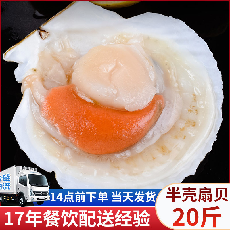 獐子岛虾夷扇贝20斤/箱 日料食材半壳扇贝海鲜水产蒜蓉粉丝扇贝