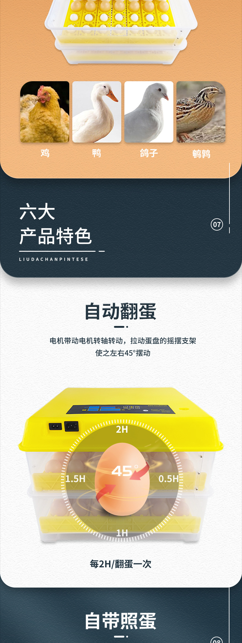 112枚双电源（花篮蛋盘）-已修改_05