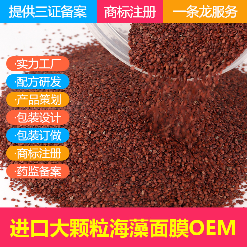 厂家大颗粒海藻原料1KG批发 美容院水疗装水洗式 泰国海藻原料厂