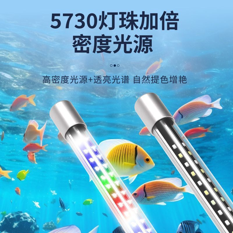 6a9afbc2-b4db-433e-91ef-8976e9b95635.jpe