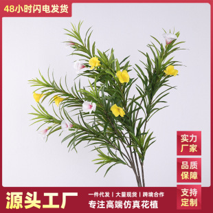 �羳����Gֲ�A�������~�Ҏ������l�Ҿ��b�c�Ƶ�ٻ��[�O�쾰