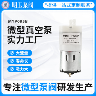 ΢����ձô����������LMYP095B���y��հ��b�C���݃x΢����ձ�