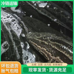 �Ԯa���N���ͺ��~�~���Bֳ���~�ٰl���ò�����|�o���~�ʳ��