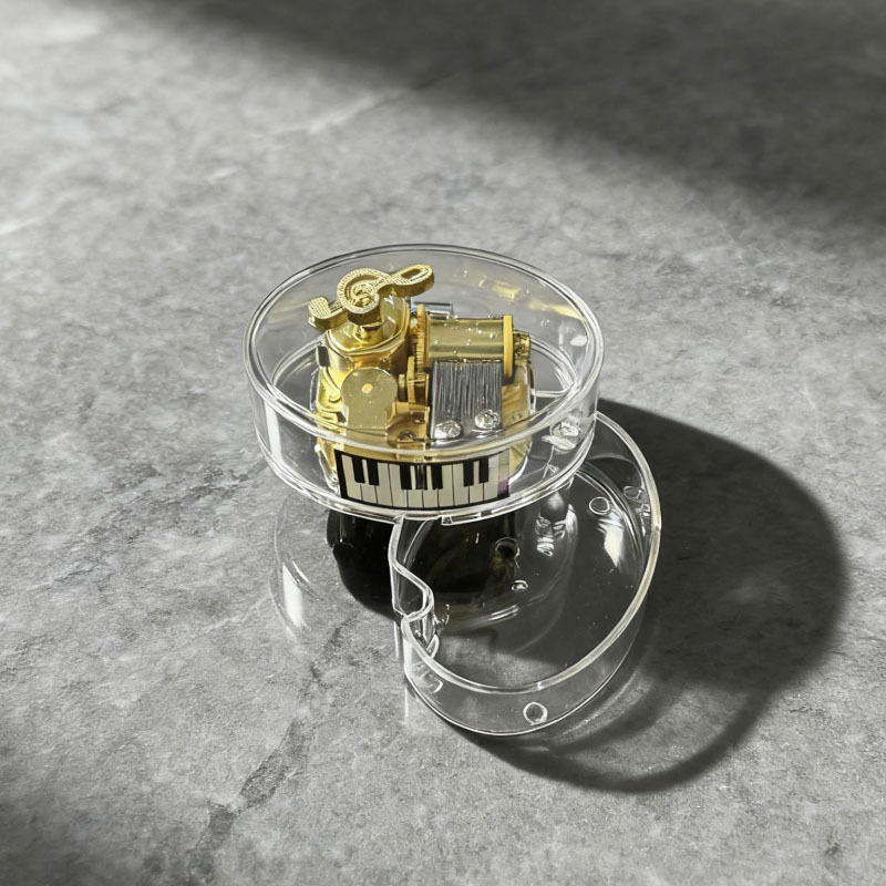 ����������ת�������ֺ����֮�ǻ�о������������Ů��ͯ��������