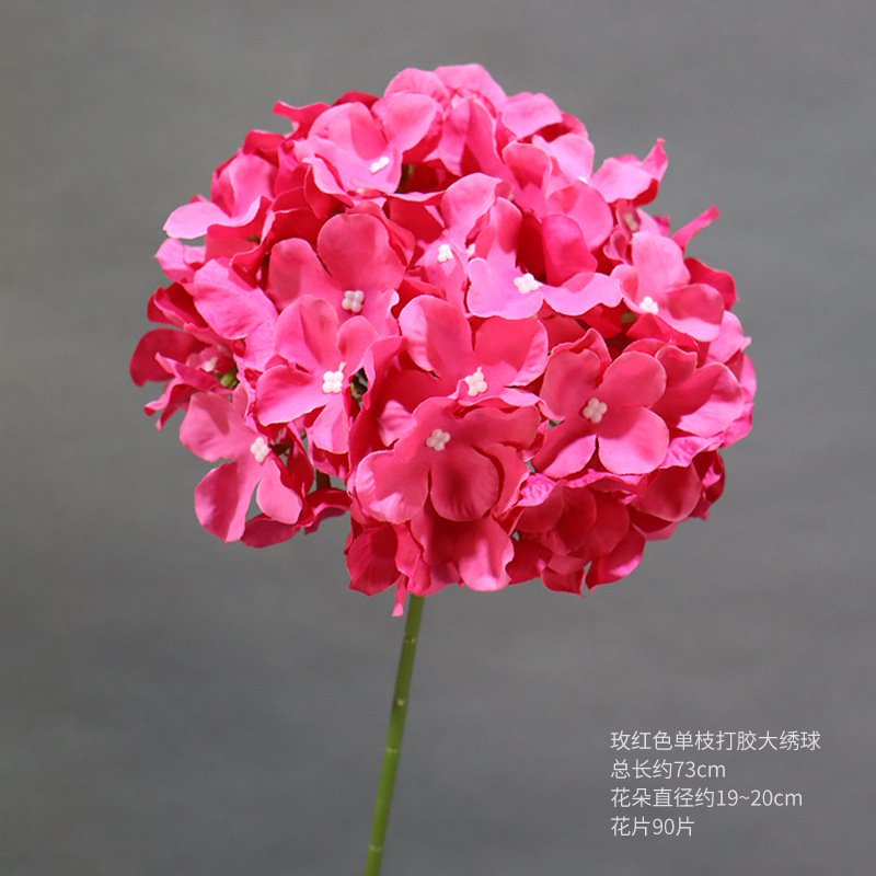 Hortensia grande con una sola rama de color rojo rosa