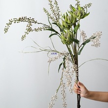 ���W�ٻ������л��[�O�Ҿ��p�ݸɻ��b�ˇ�M�ϔ[��