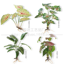 �����Ĕz������~�����ֲ��G�~�����ٻ��G�����̼٘��~�G�~