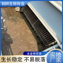 BBR�����D�P�V�� PP�PƬPVDC�PƬPVDF�PƬ �����m��ѿ�ߗU����Ĥ