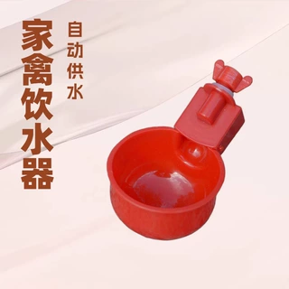 养鸡用自动饮水器鸡鸭鹅饮水碗喝水碗鹌鹑家禽鸟喂水神器雏芦丁鸡