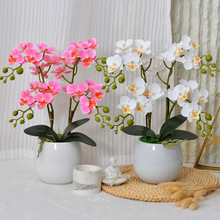 ٻmС辰[滨҃ȼҾxSl