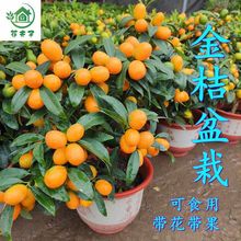 �ļ��۽������������Ԏ�����ʳ�ô�����ؔ���҃��̨��������