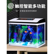魚缸水族箱懶人免換水自循環生態魚缸小型桌面客廳增氧機小金魚缸
