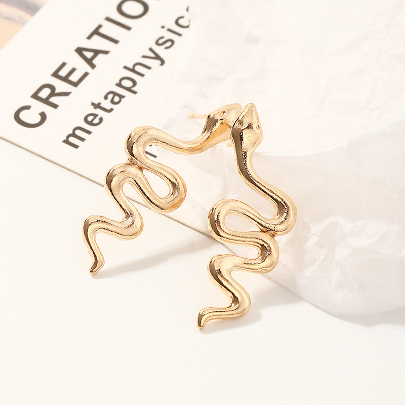 Boucles D&#39;oreilles Serpent En Métal Créatives display picture 3