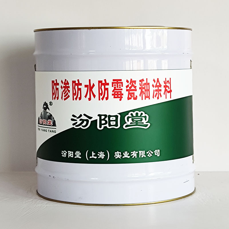 防渗防水防霉瓷釉涂料、工期短、防渗防水防霉瓷釉涂料、性能好
