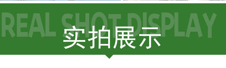 太阳能地理灯_11