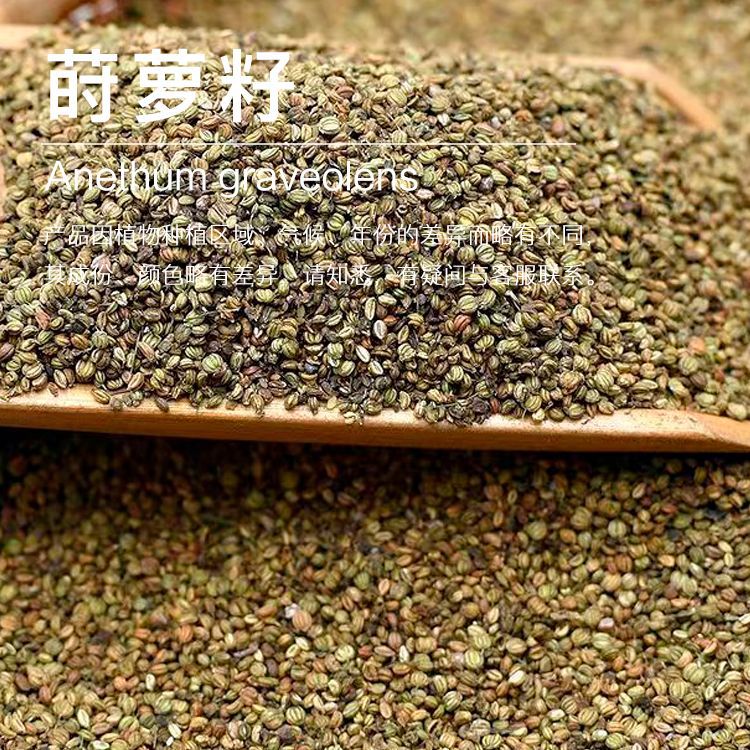 �򻨹�Ӧݪ������  ������ȡݪ���Ѿ��� ֲ��������������ӭ�ɹ�