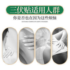 Beijing Tongrentang Mugwort Sanfu Patch – Mugwort Ointment Plasters Wholesale from Manufacturer, Supplying Joint & Acupoint Therapy Patches