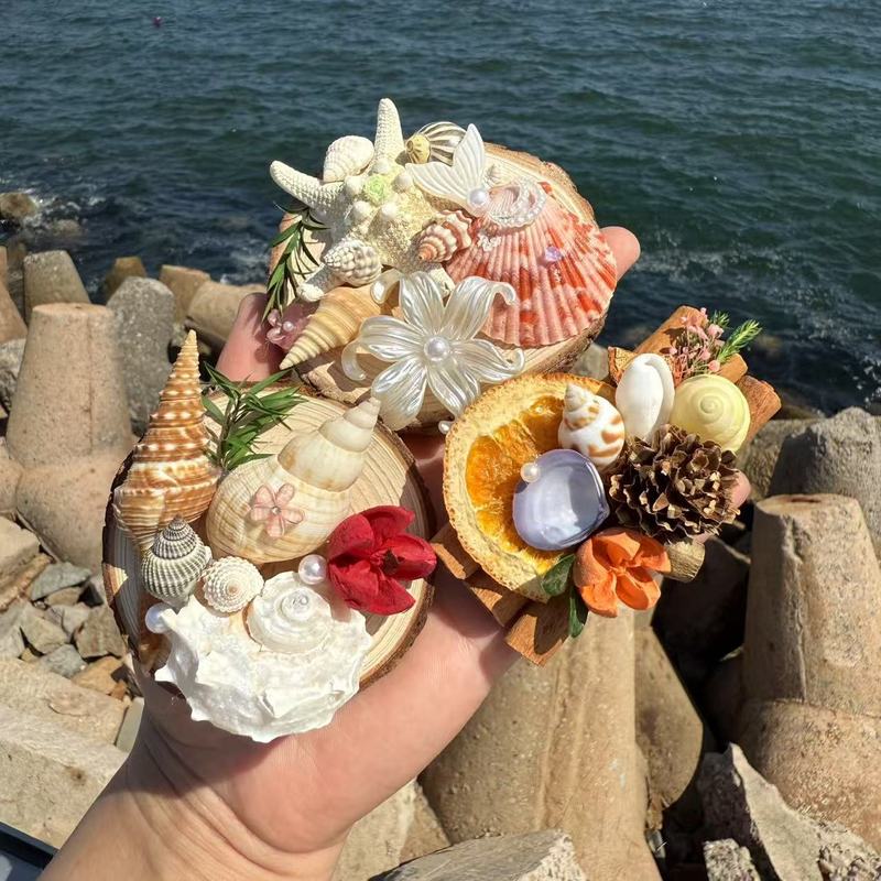 Natural Shells, Conch Shells, Starfish, Creative Wood Chips, Refrigerator Magnets, Travel City Souvenirs, Gifts
