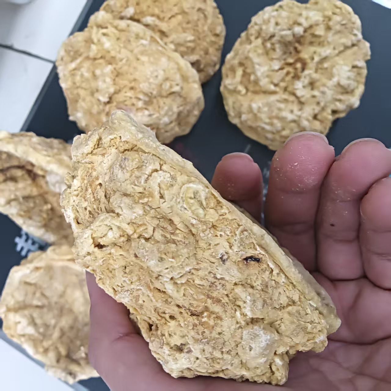 Sheep Placenta Powder 500g Yang Tai Pan Dried Traditional TCM Herbal Supplement overview