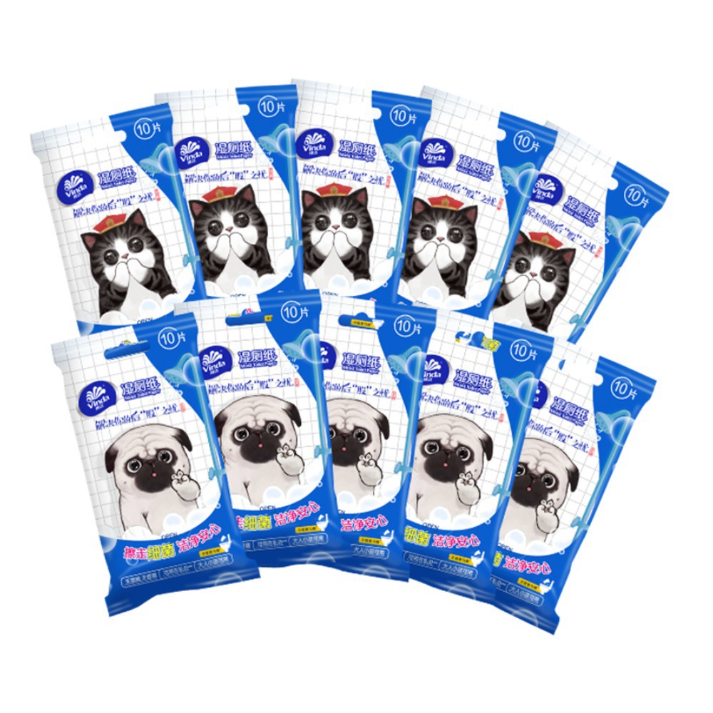 Vidago CAT toallitas húmedas de papel higiénico 40 piezas 5 paquetes gratis mini portátil 10 toallitas húmedas de baño al por mayor