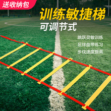 �๦������������Ӗ������ܛ�݃�ͯ�w��Ӗ�����������݅f�{���K��