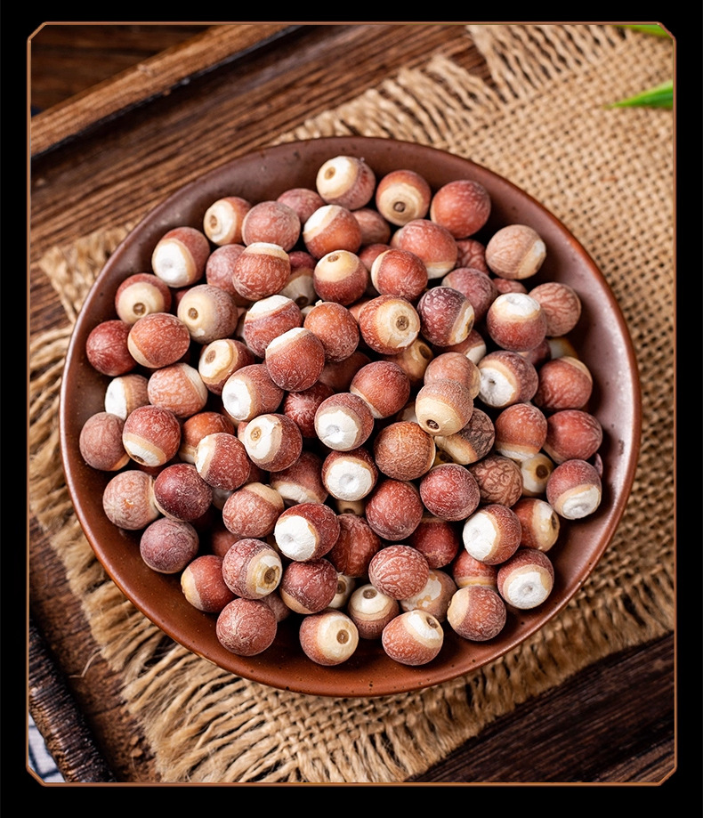 Dried Gorgon Fruit Qian Shi Euryale Seeds Whole Grain Herbal Tea and Soup Ingredient 500g in use