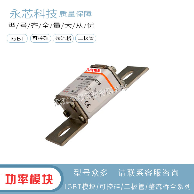 现货直销BS000UB69V75   BS000UB69V80全新保险丝熔断器原装供应