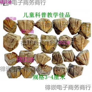 ��Ȼ��ʯ�^�pʯ�ջ�ʯ���~�xβ��覴ý̌W���Ճ�ͯ�dȤ��ʯ2665