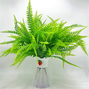 ֲ525~˹~߲Pβާ~ƬbGֲ