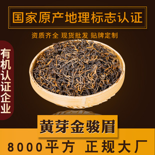 ��������ɽ �Sѿ���Eü�t�� �S�ȸ� 2026���²�ɢ�b���~���l500g