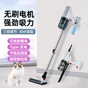 Small Handheld Vacuum Cleaner for Home and Car Use, High Suction Power, Pet Hair Vacuum Cleaner, Portable Patented Design
