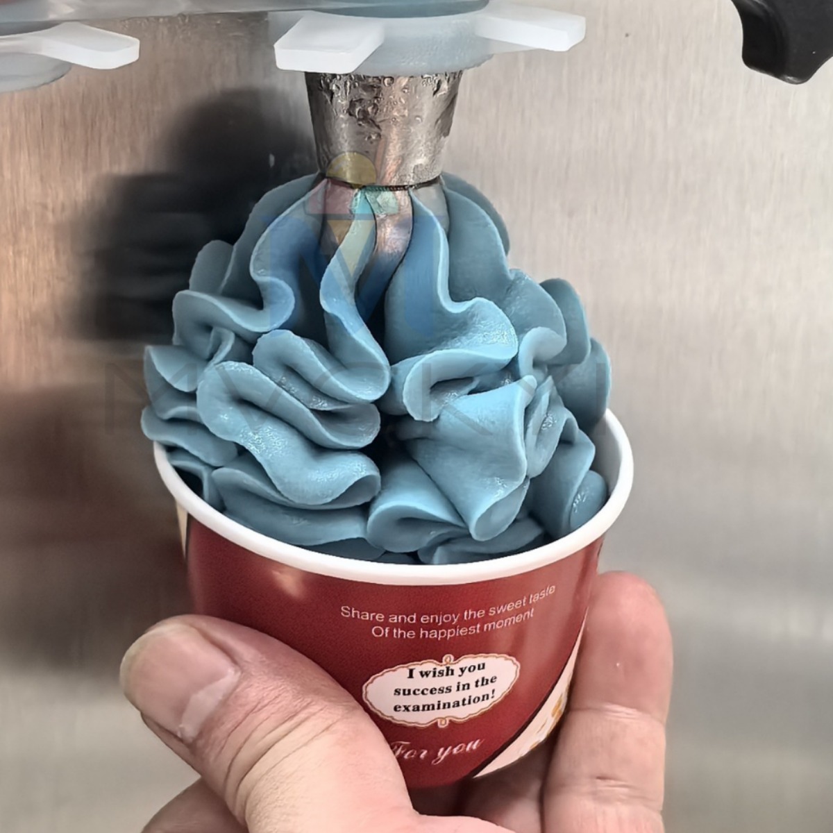 2024-07-31 11:25:10.jpg