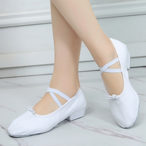 Bodybuilding teacher shoes soft sole ballerina belly folk dance yoga performance with heel practice dance shoes wholesale