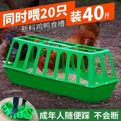 Food trough household Chute equipment Chicken feed automatic Feed Chicken feed