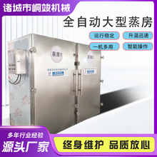 果脯蜜饯大型全自动蒸箱 中药材黄精灭菌微压蒸房 双门红薯蒸柜